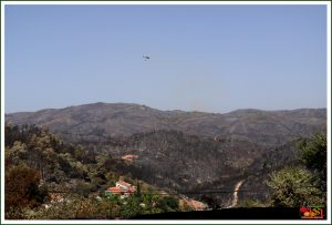 Incêndio na Serra de Monchique - Agosto / 2018
